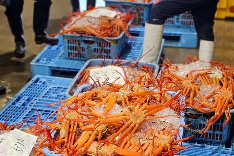 ハリタ冷蔵 品質管理