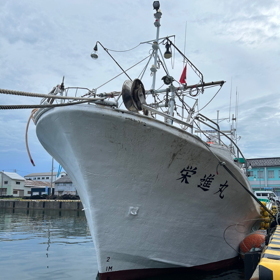 紅ずわいがに 船上